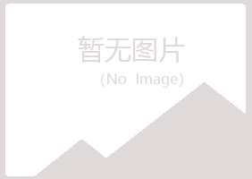 蓝山县夏青会计有限公司